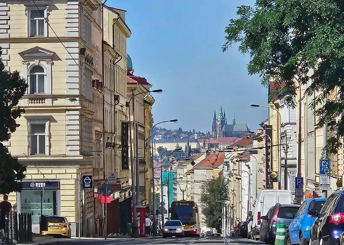 Artistic Designer Studio Zizkov