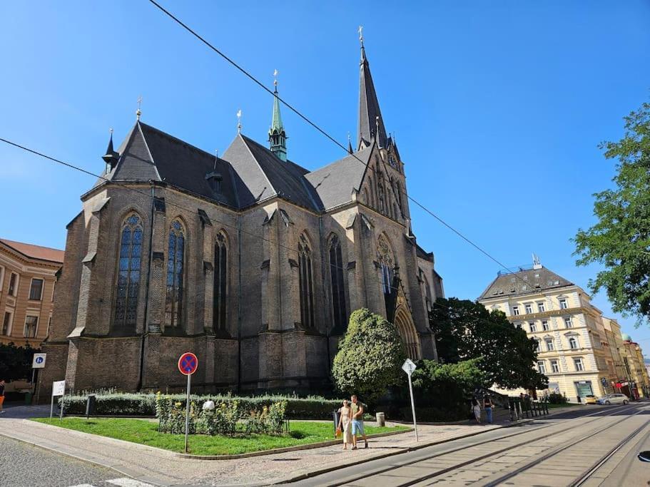 Artistic Designer Zizkov